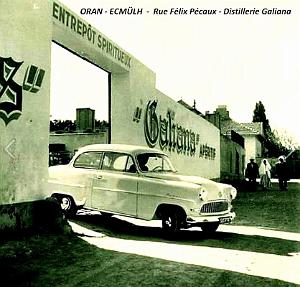 Oran - Eckmulh - Rue Felix Pecaux - Distillerie Galiana